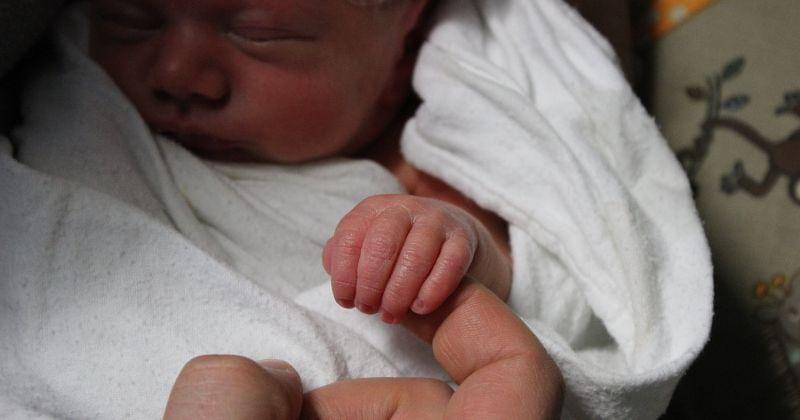 Pexels/Steven Morrissette